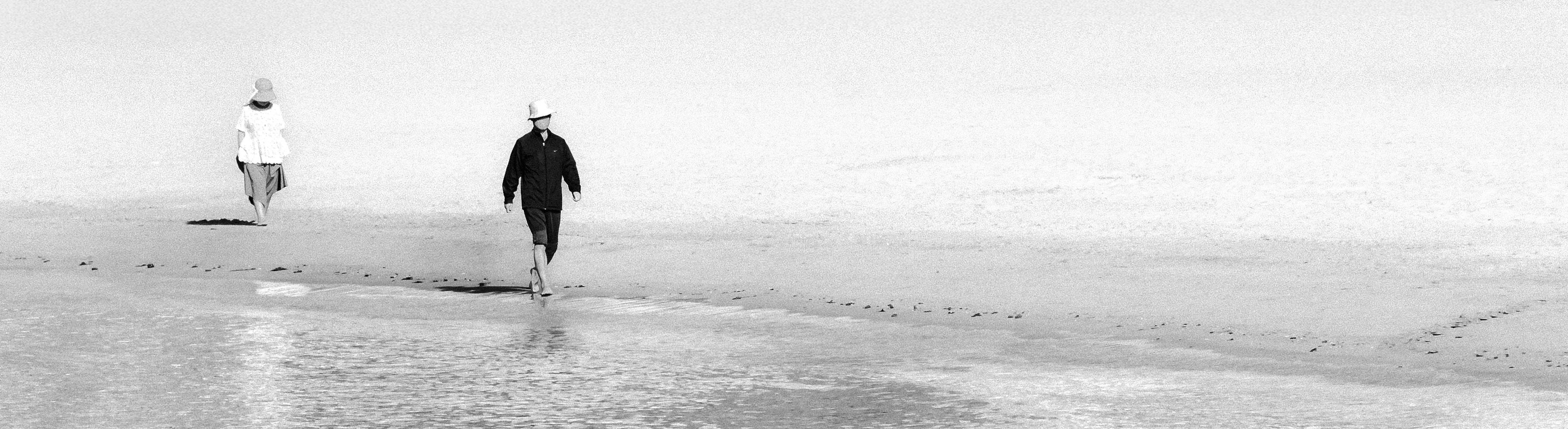 Two figures walking apart along a shoreline
